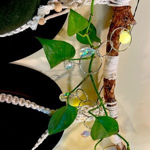 Plant accessories comes with gift box